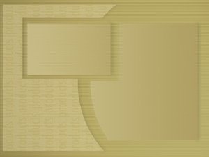 生态系统